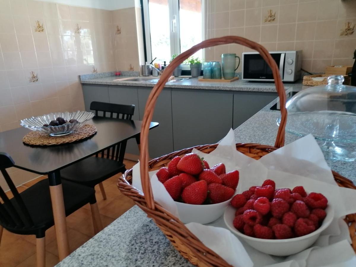 ויאנה דו קסטלו Casa D'Avo Bina Alojamento Local מראה חיצוני תמונה